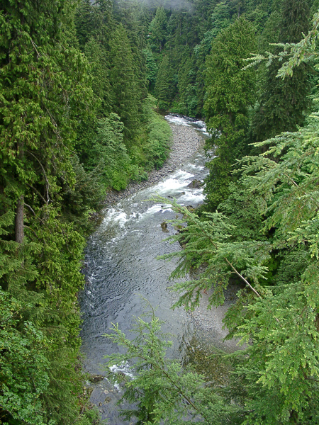 Looking down from the Capilano Suspension Bridge